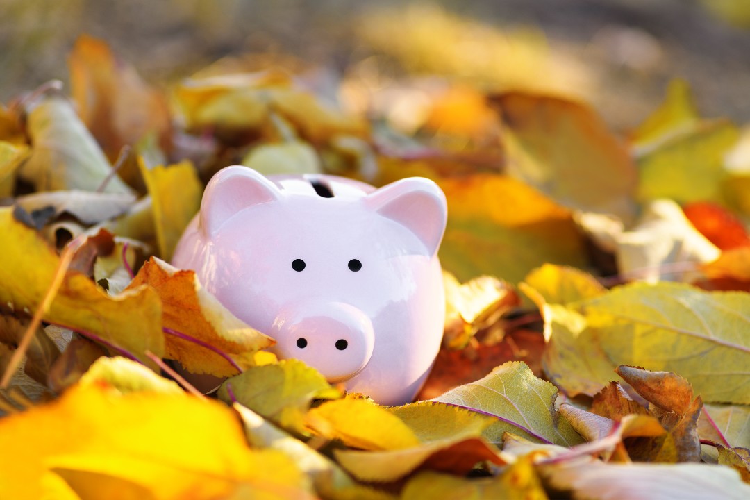 Pink piggy Bank in autumn leaves on the ground